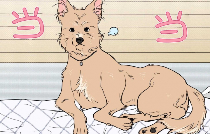 第58页