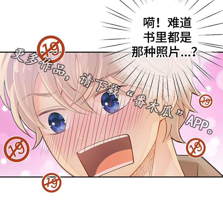 第51页