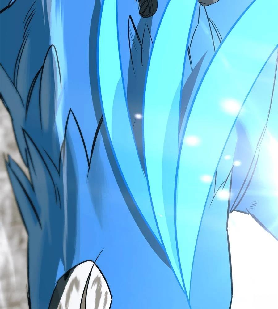第205页