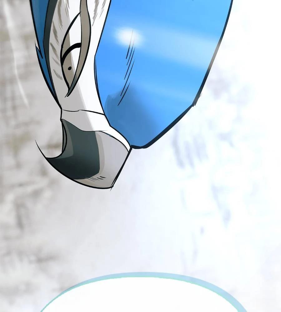 第206页