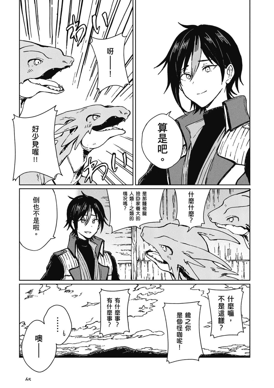 第66页